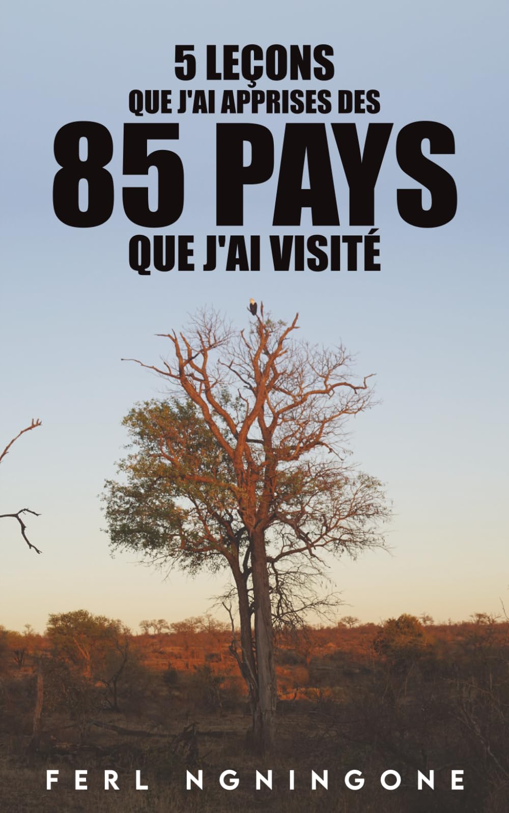5 leçons que j'ai apprises des 85 pays que j'ai visité