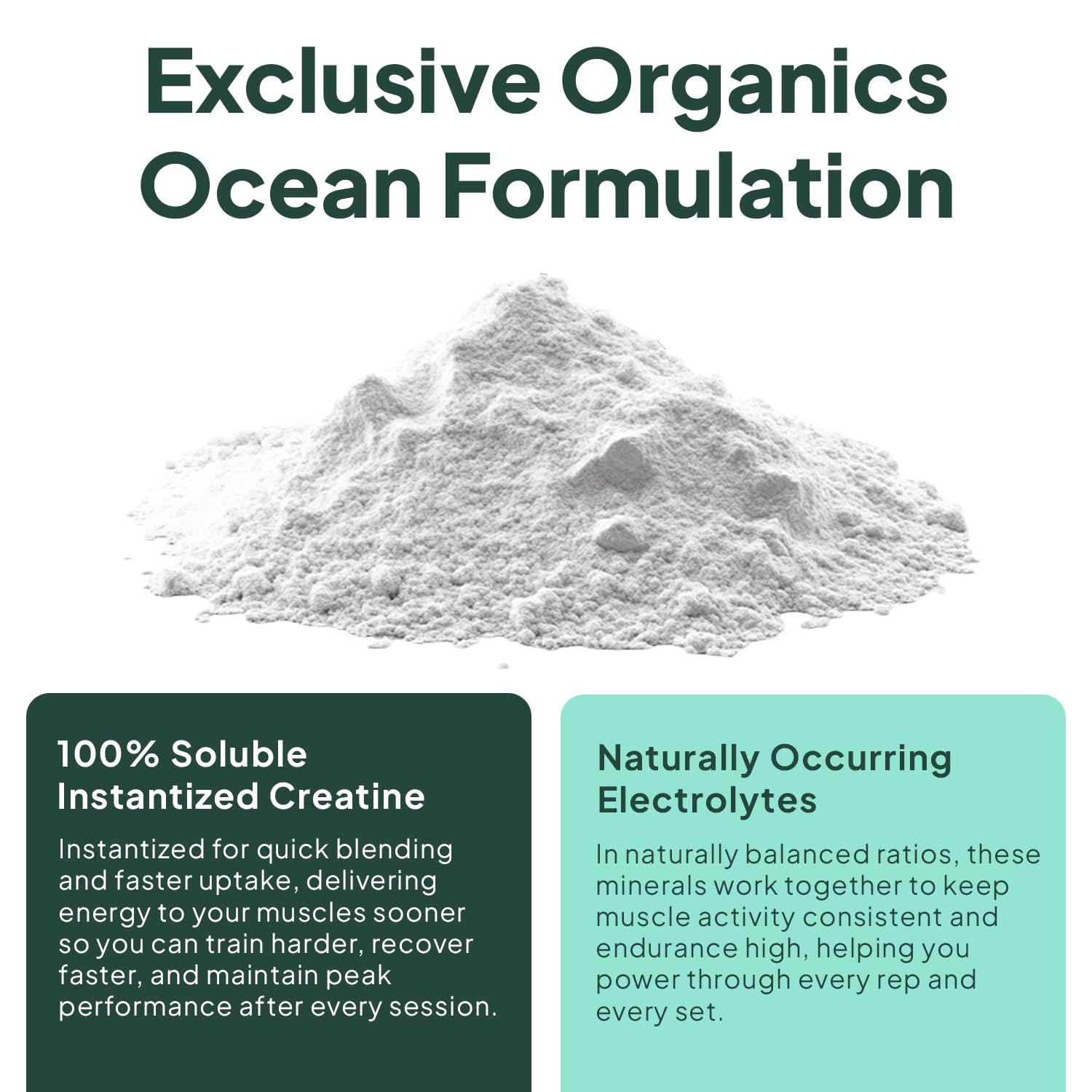 Organics Ocean Krealyte Fusion - Instantized Creatine Monohydrate Powder with Electrolytes - Muscle Strength, Endurance & Hydration Support - Vegan, Sugar-Free, Pink Lemonade Flavor - 30 Servings — Amazon image 5