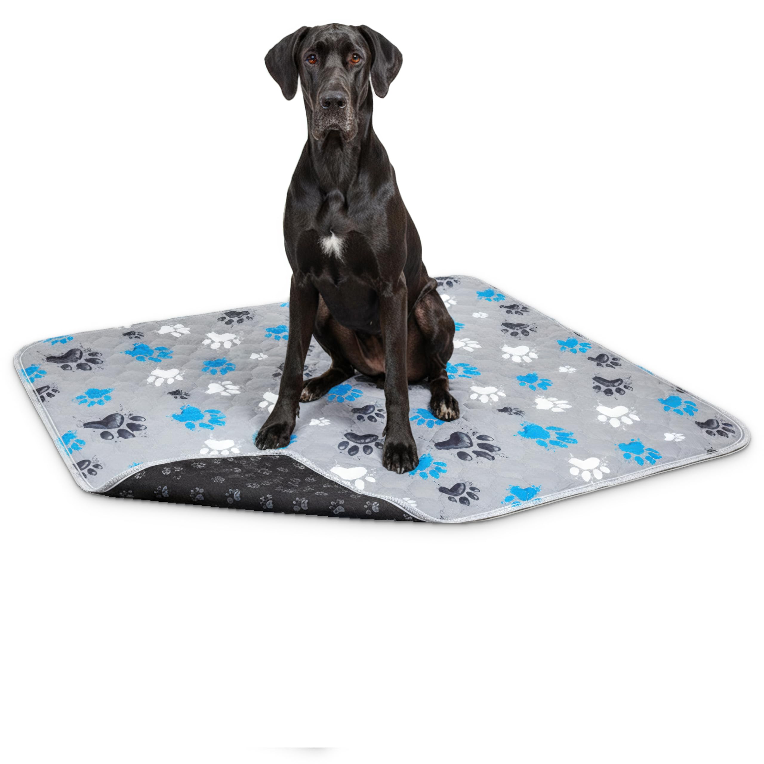 MAGNUS CREATIONS 5-Layer Washable Puppy Training Pads | Reusable Dog Pee Pads | Super Absorbent Waterproof Pet Mats for Home, Car & Travel | Medium & Large Dogs (1-Pack, 182 × 182 cm)