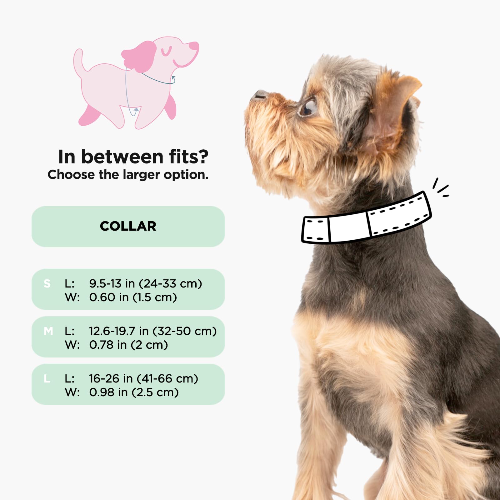Dog Accessories for Tiny Dogs: Must-Have Essentials