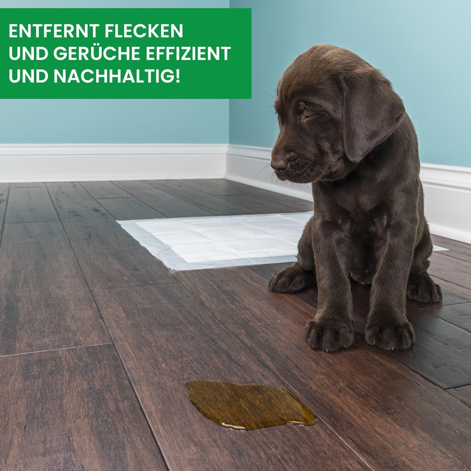 Probiotyczny środek do usuwania plam i zapachów. Niezwykle silny środek czyszczący przeciwko moczowi kota i zapachu moczu psa. Skuteczne mikroorganizmy neutralizują ślady zapachowe, KOT i