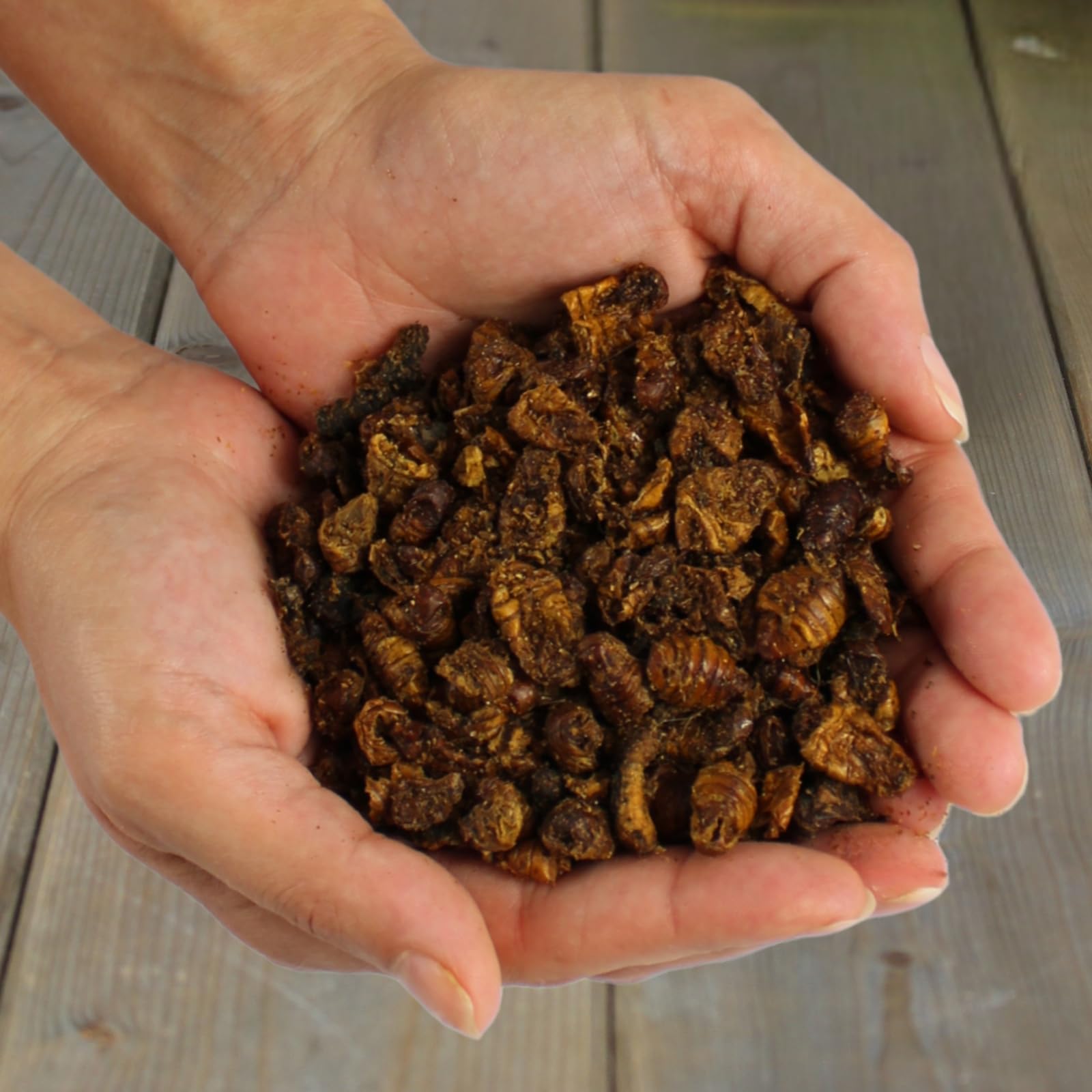Lyra Pet® 5 kg Seidenraupen getrocknet Vogelfutter Wildvögel Nager | Reich an Proteinen & ungesättigten Fettsäuren - Nährstoffspender & Energiequelle I Natürliches Futter