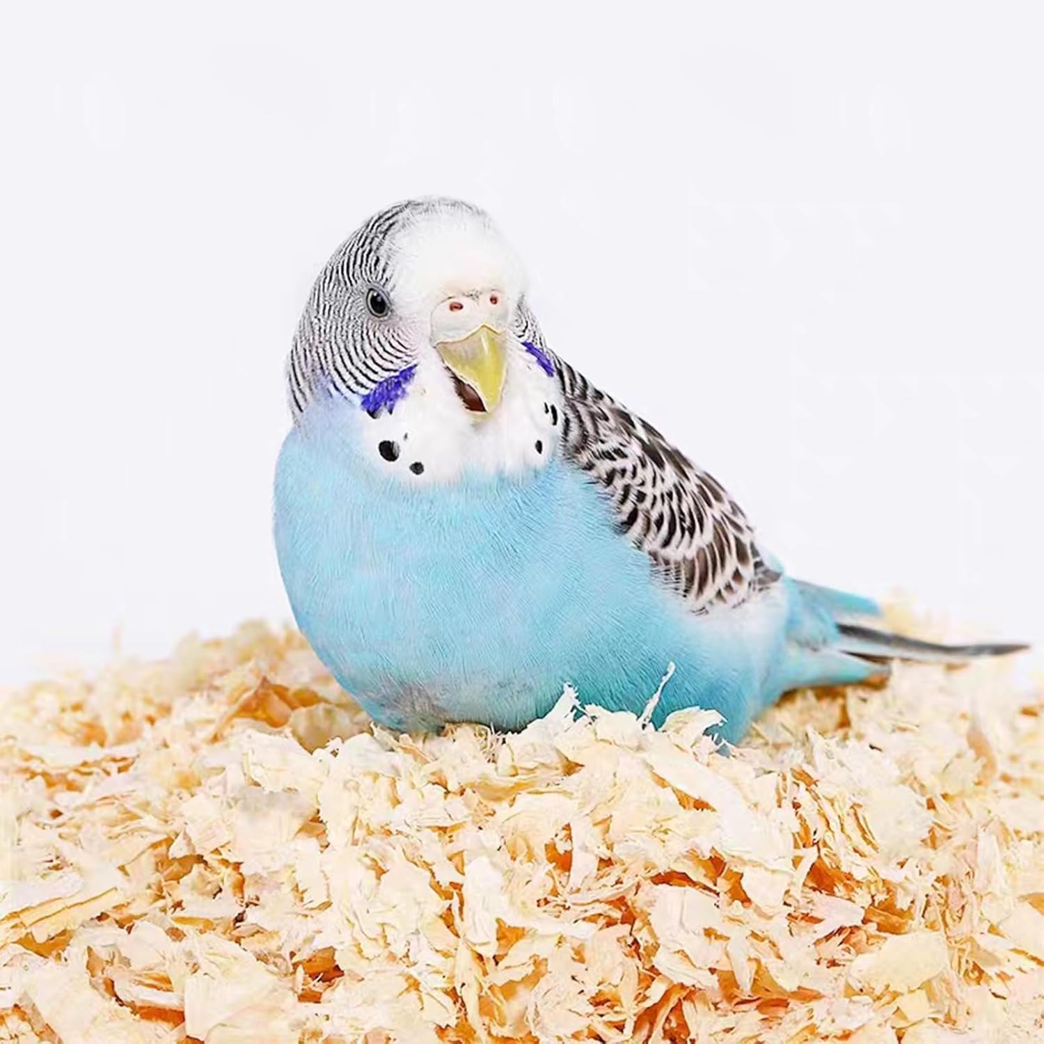 MANON ROSA Small Animal Bedding Natural Poplar Softwood