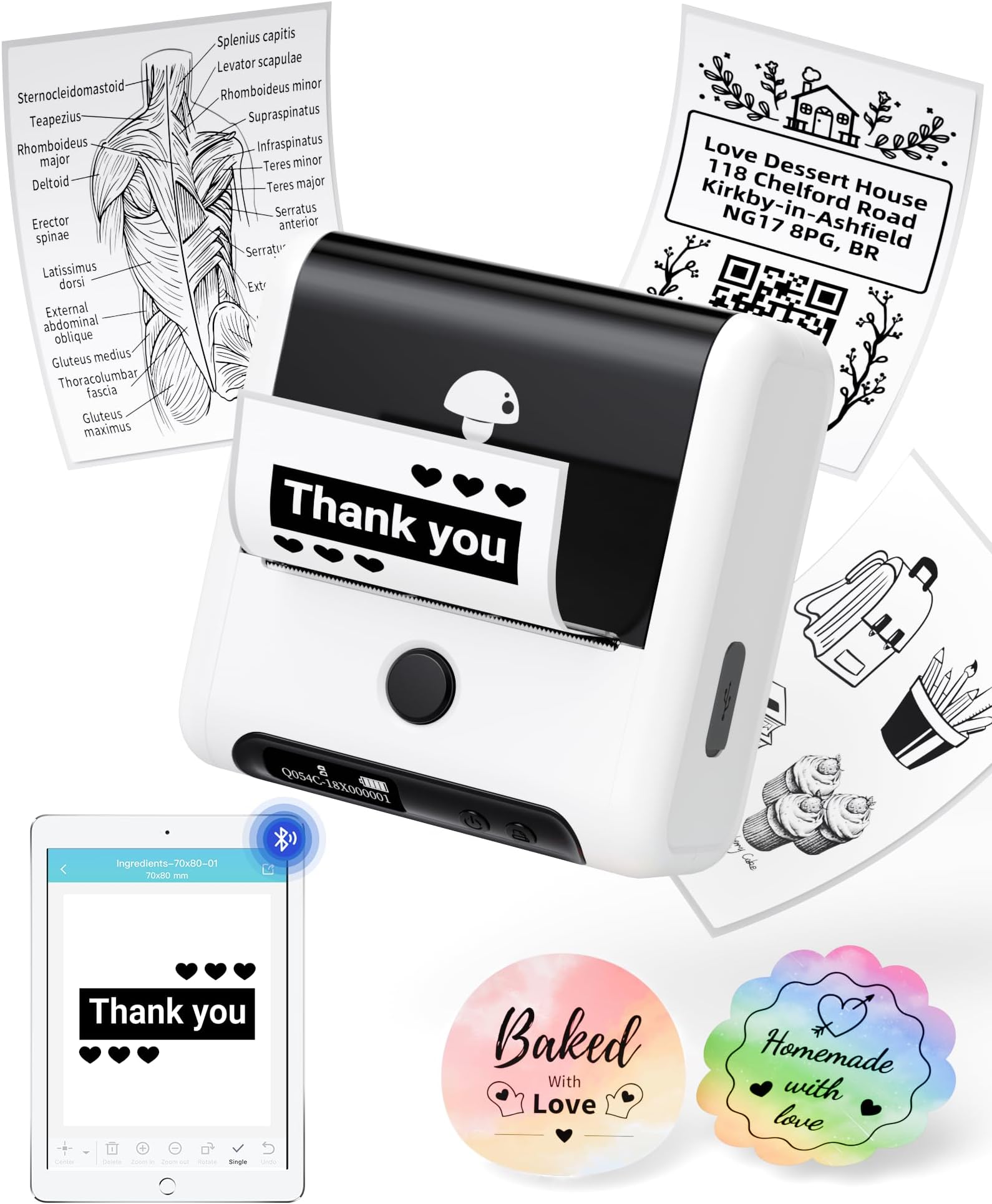 Stampante Etichette Bluetooth NIIMBOT B1 - Impermeabile, Senza Inchiostro, Per Casa E Ufficio - Foto 5