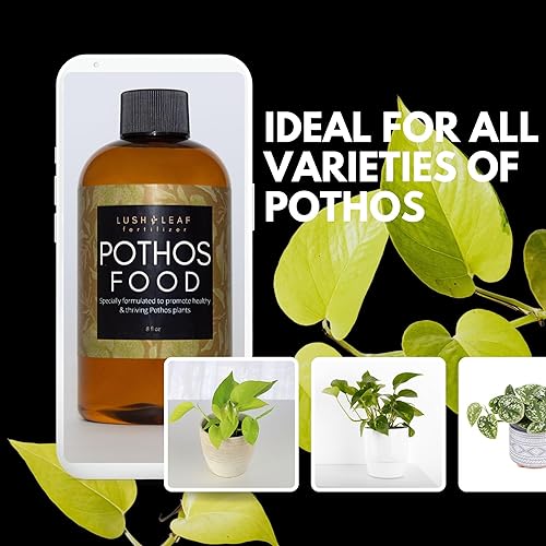 Miniatura 3 de Lush Leaf  Alimentos Vegetales (Pothos)