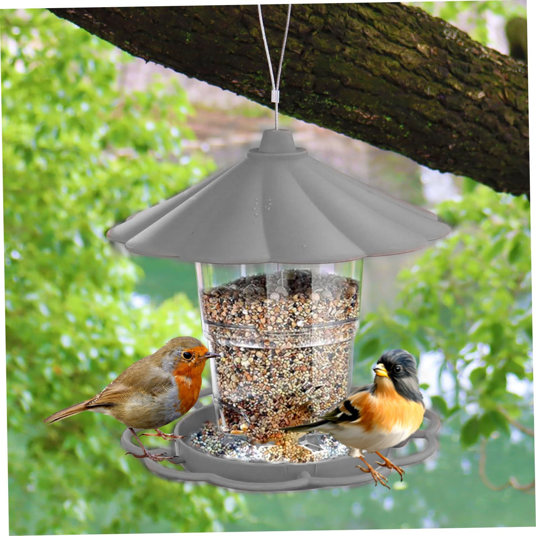Mangeoire Et Abreuvoir Oiseaux Suspendu Blanc 22.5x24cm - Pour Jardin/Balcon