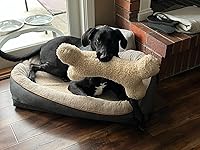 Review Image by Alicia Beam Alicia Beam