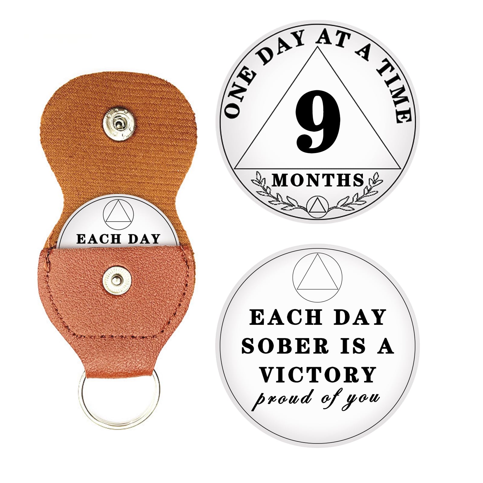 9 Month Sobriety Chip, One Day at A Time AA Chips and Medallions - Sobriety Recovery Coin Sober Token for Alcoholics Anonymous Recovery Sober Gifts