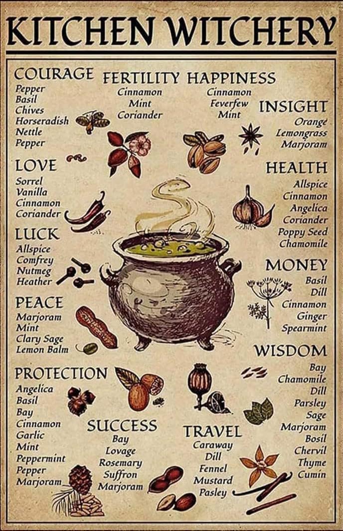 Preeklen Tin Sign 049 Kitchen Witchery Metal Tin Sign Witchy Room Decor Retro Metal Backyard Bar Wall Decoration Plaque Metal Tin Sign 8X12 Inch