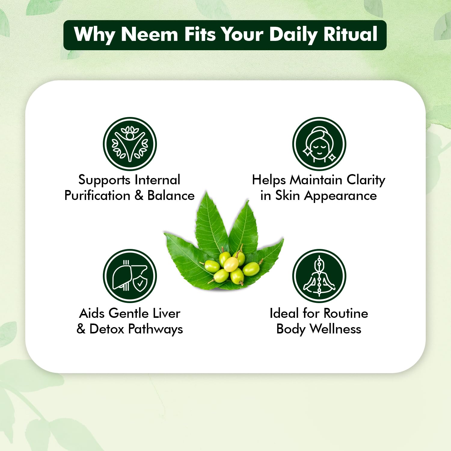 Baidyanath Ayurved Neem 60 Tablets | Herb For healthy Skin & Hair, Natural Extracts Of Neem | Helps In Purification of Blood Boosting & Liver Health 2
