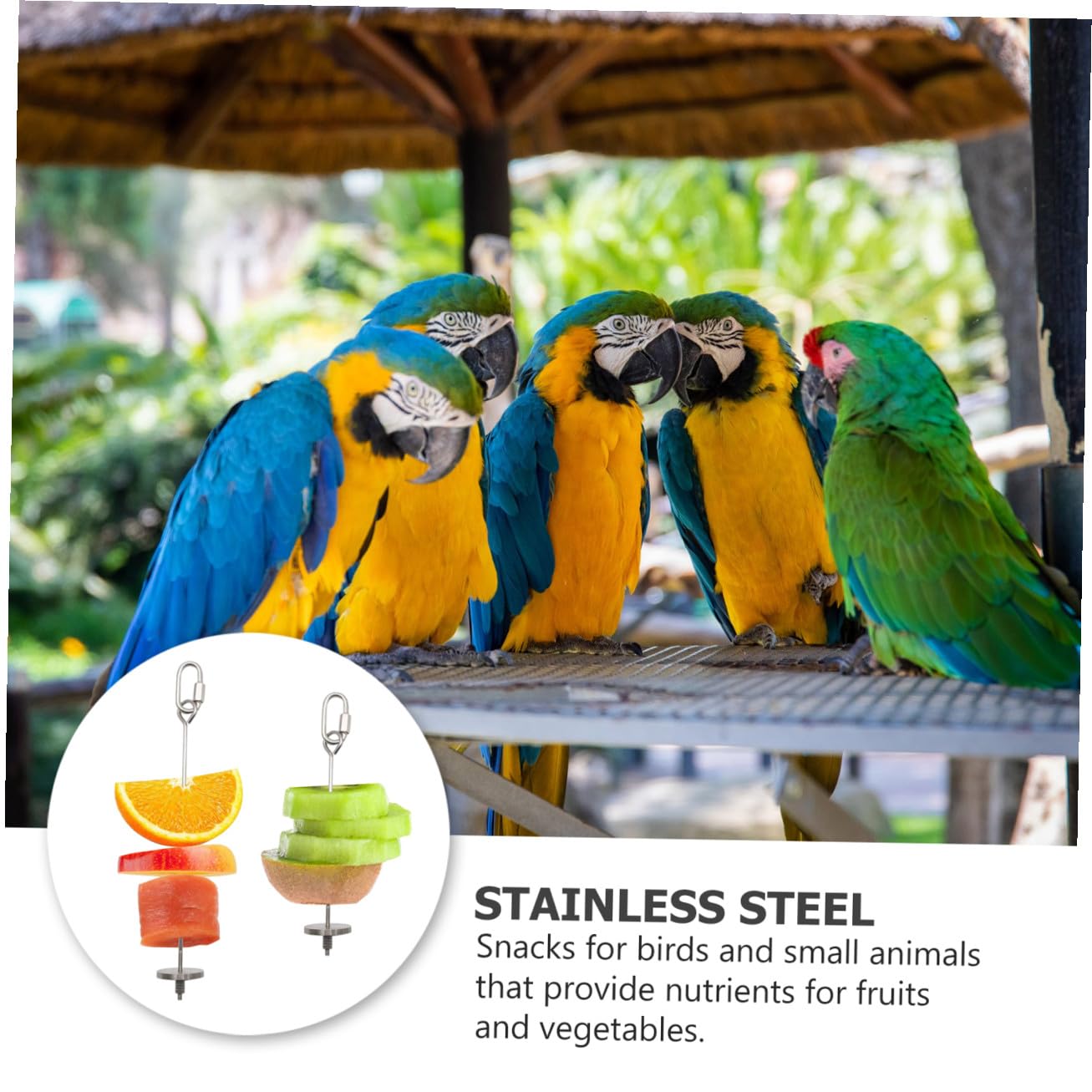 DOITOOL 6piezas Soporte De Comida para Pájaros De Acero Inoxidable De Brochetas para Frutas y Verduras para Periquitos y Loros Fácil De Instalar Jaulas