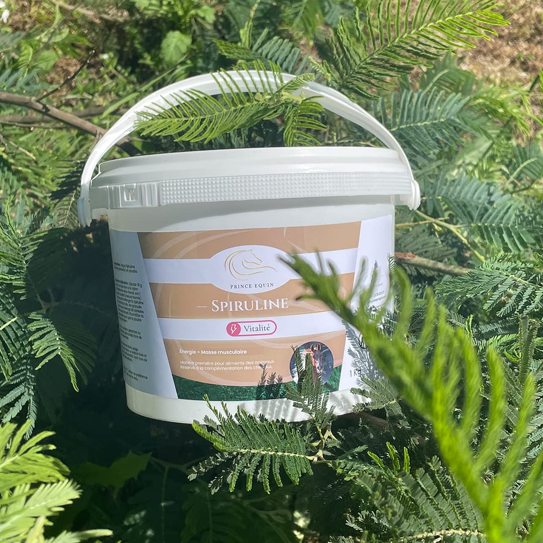 SPIRULINE - Complément nutritionnel Cheval - Seau 1 kg - Riche en protéines, vitamines, minéraux - Energie - Vitalité - Masse Musculaire Cheval - Marque Française
