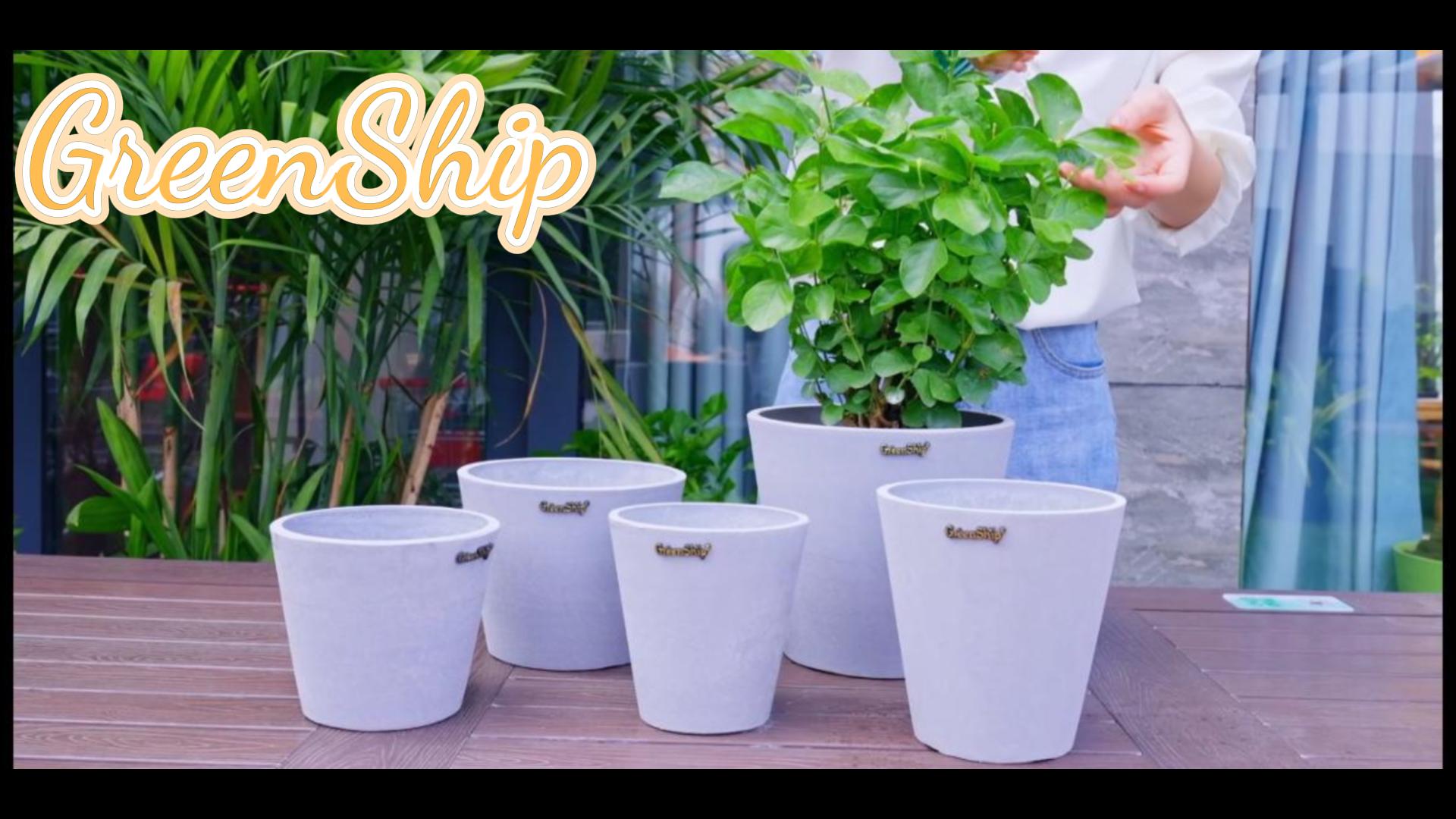 Amazon | GreenShip 多用途 植木鉢 大型 10号 マットな質感