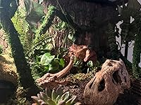 Review Image by Tricia Wieczorek