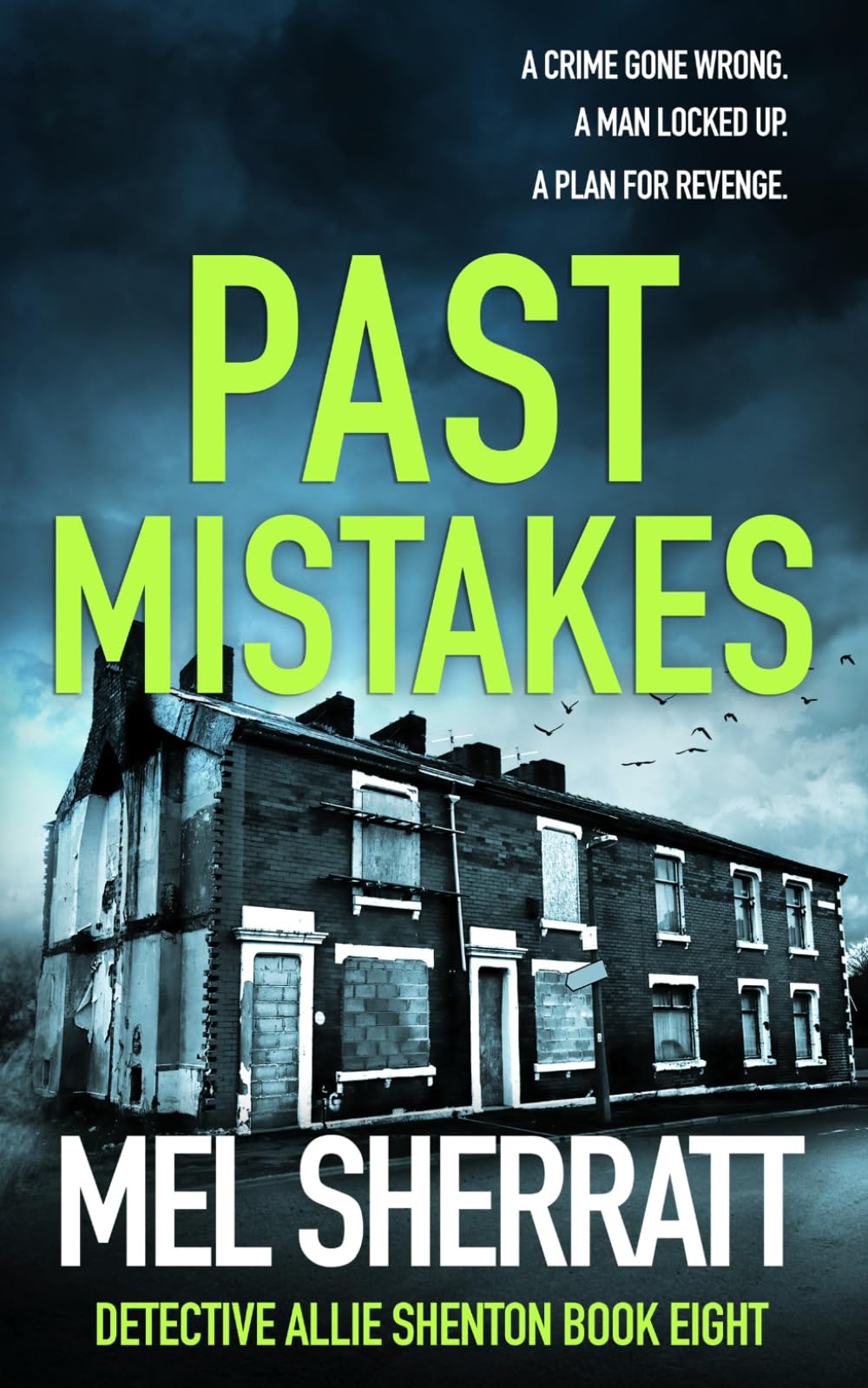 Past Mistakes: A gripping detective crime thriller (Detective Allie Shenton)