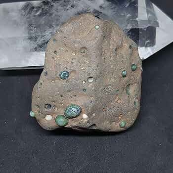 71K-CFtA6iL._AC_UF350,