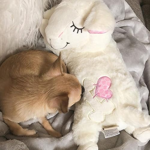 Miniatura 5 de ALL FOR PAWS Nuevo kit de iniciación para cachorros, juguetes de ayuda para dormir para cachorros, juguetes cómodos para abrazar a los perros,