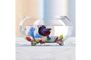 2 Gallon Glass Fish Tank and Sturdy Betta Fish Bowl