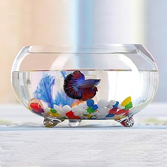 KUNVAMUL 2 Gallon Glass Fish Tank,Sturdy Nicely Betta Fish Bowl,Small Aquariums for Small Ornamental Fish and Reptiles,High Transparency Glass Good View of Your pet,with Three Support Feet