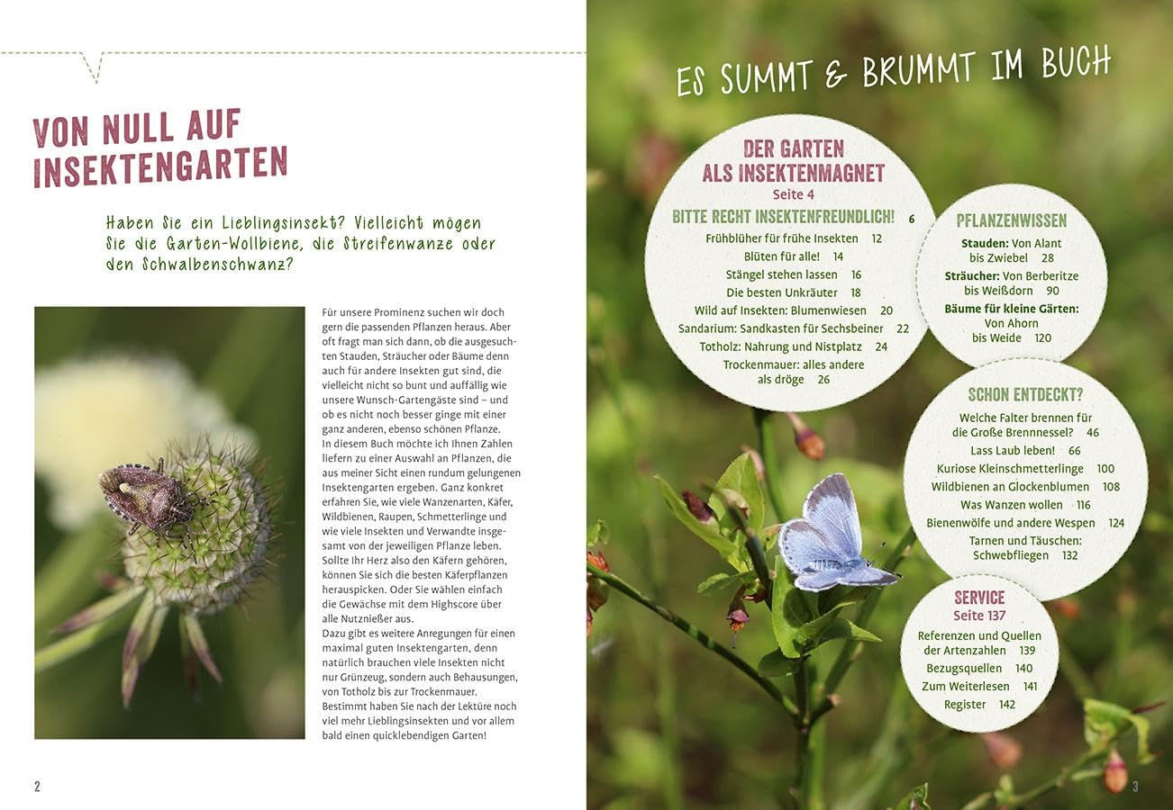 Richtig gute Pflanzen für Insekten: Die besten Blüten für maximal viele Bienen, Schmetterlinge, Schwebfliegen & Käfer im Garten. Mehr Respekt für's Insekt.