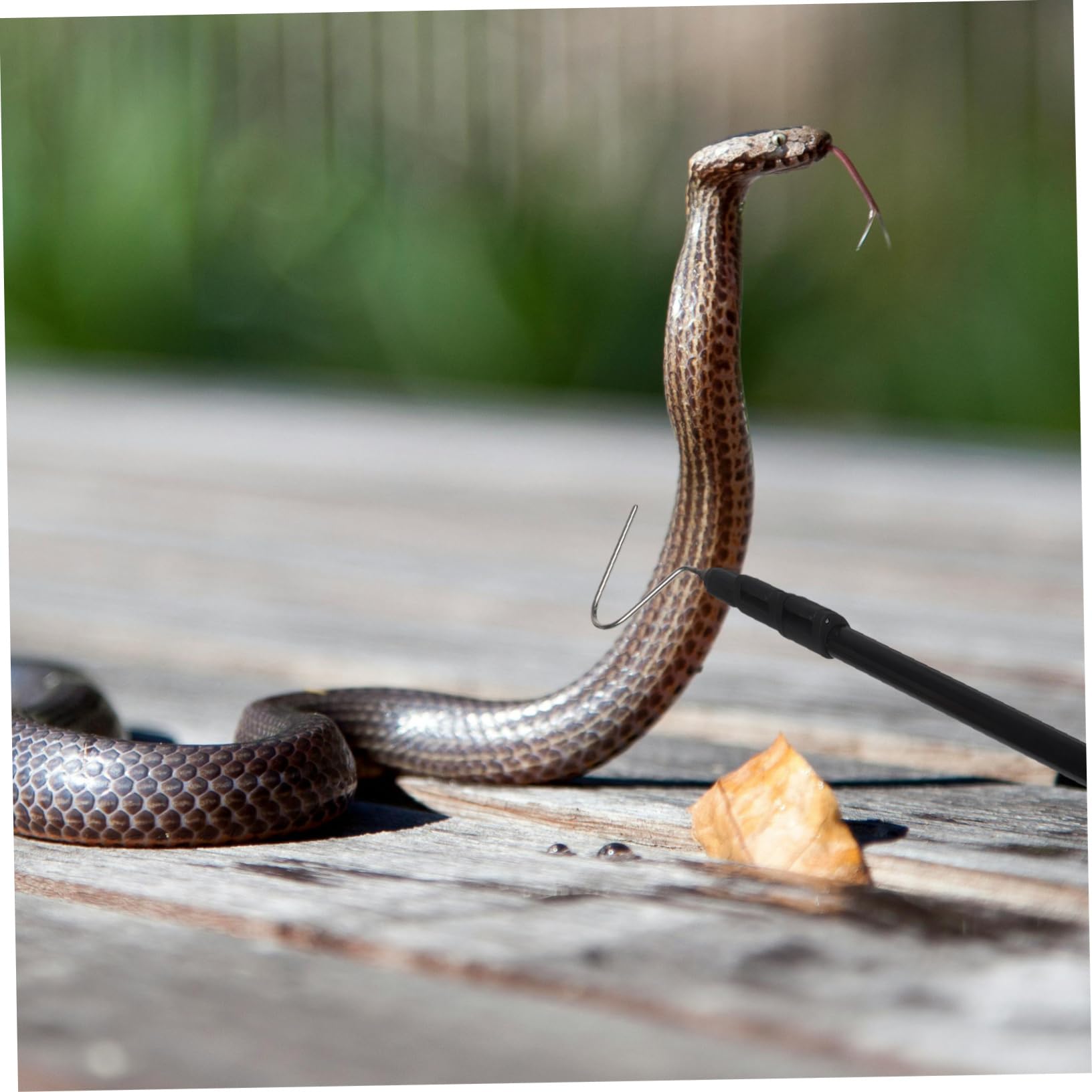 Teleskop-schlangenfänger Ausziehbarer Schlangenhaken Für Reptilienfang Robustes Werkzeug Für Sicheres Handling Für Outdoor-Camping Und Schlangenrettung Leicht Und