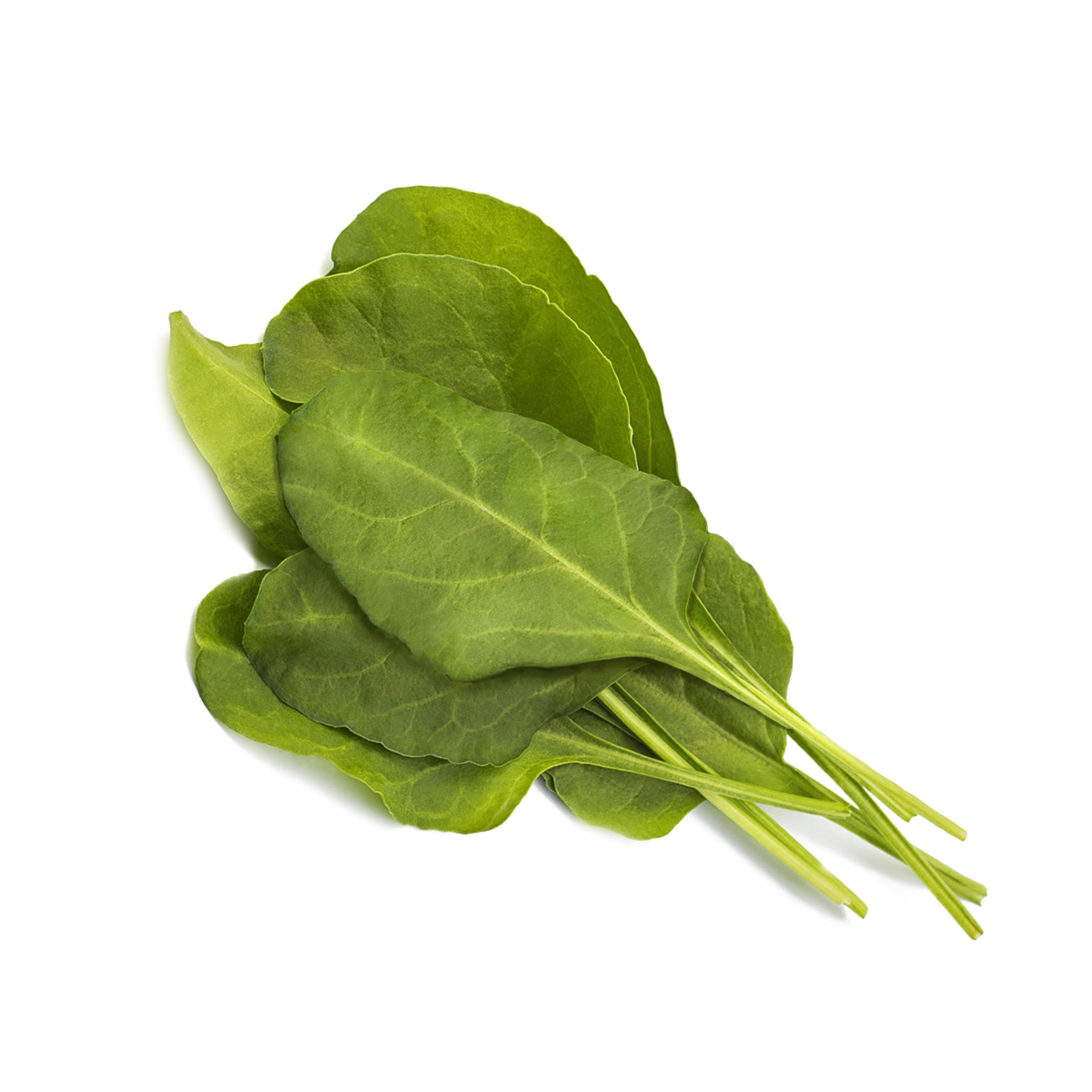 Click and Grow Grüner Mangold Plant Pod Nachfüllpack Substratkapsel Pflanzenkapseln Smart Garden Indoor Garden 3-er pack