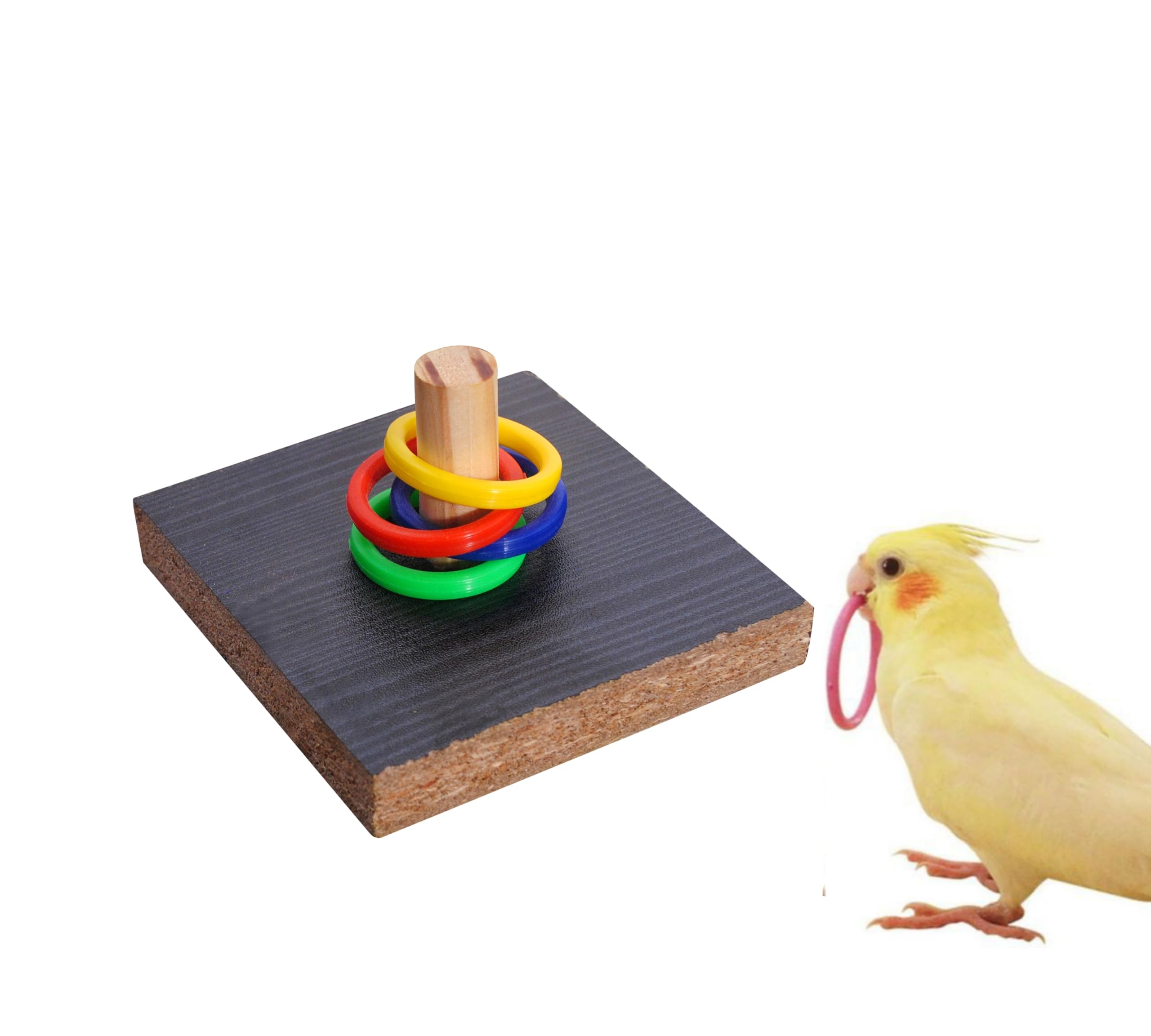 POONCH PET STORE Brain stimulating Five Ring Toy for Budgies cockateil Lovebird and Other Parrot Color Ring Game Made of Engineered Wood