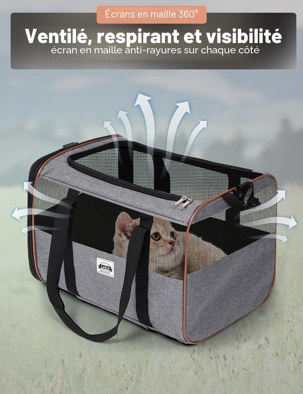 Caisse de transport pour chien et chat avec roulettes - Petit sac de transport pour voiture - Avec poignée télescopique et bandoulière - Gris
