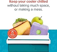 Vista 14 de Healthy Packers Cool Pack, Slim Long-Lasting Ice Packs - Great for Coolers or Lunch Box