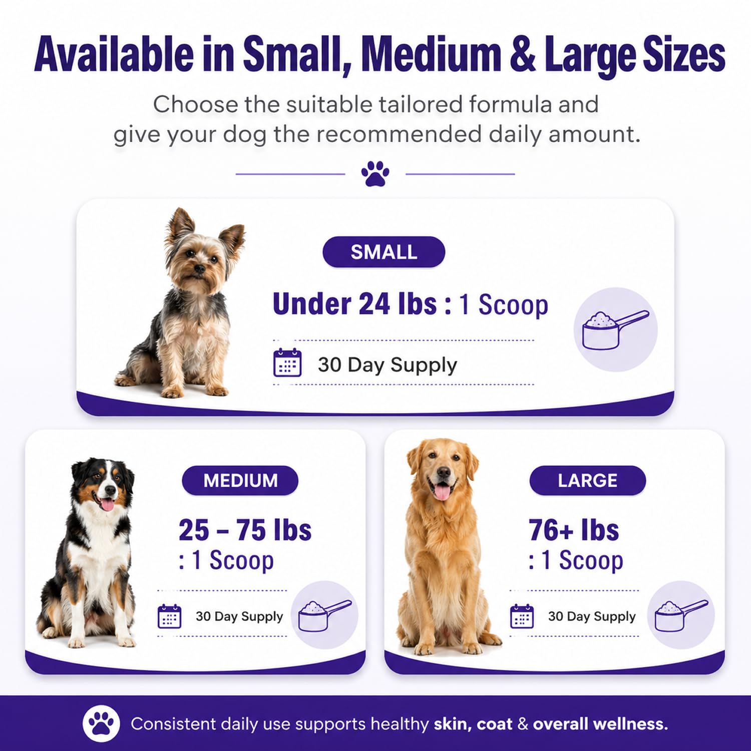 Petscy Polvo dental para perros, limpieza de dientes y ambientador de aliento, cuidado dental para perros, cuidado bucal, soporte para placa y sarro, sabor a pollo, 2.1 onzas (mediano)