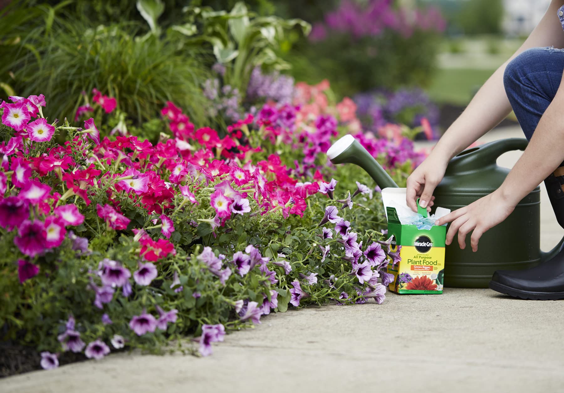 Buy MiracleGro Water Soluble All Purpose Plant Food, 1.5 lbs. Online