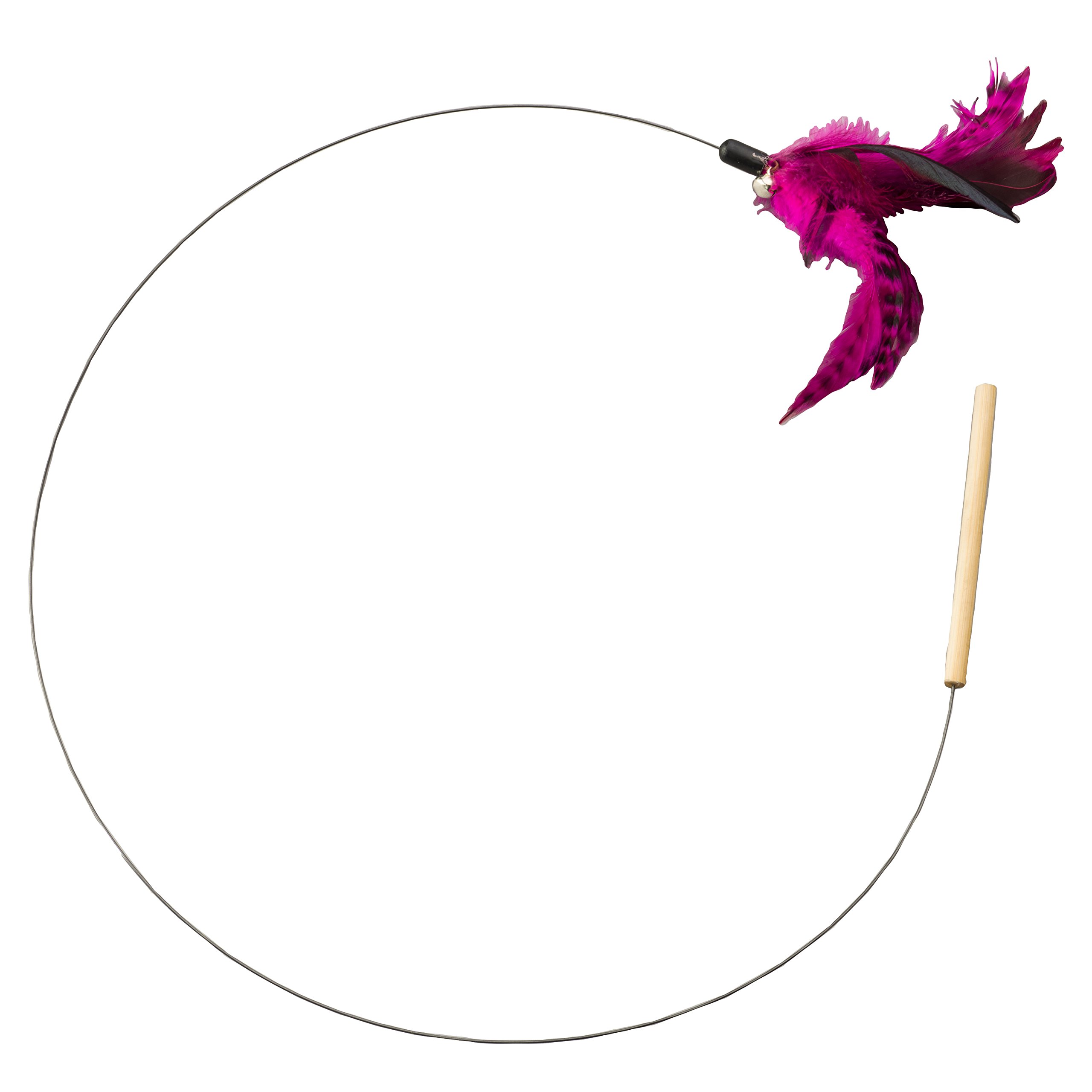 Amazon.com : SPOT Teaser Wand Cat Toy, 44
