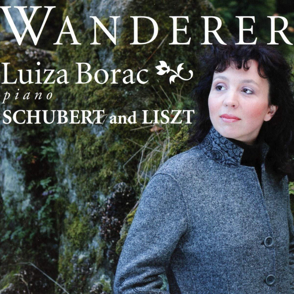 Wanderer: works by Liszt and Schubert