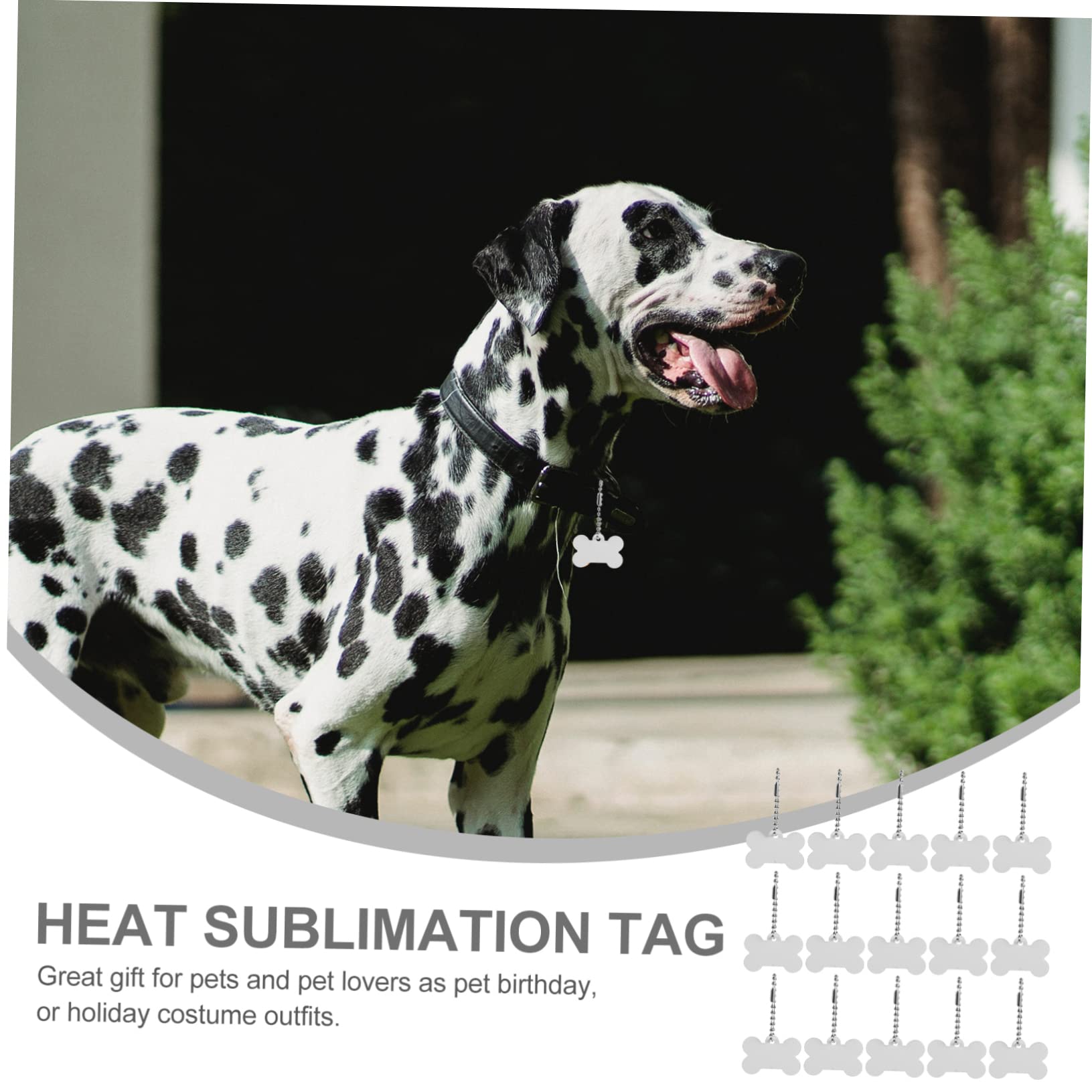 Happyyami 60piezas Etiquetas De Sublimación Para Mascotas Placas De Identificación Para Perros y Gatos Personalizables Fabricadas Para Añadir Un Estilo Tu Mascota