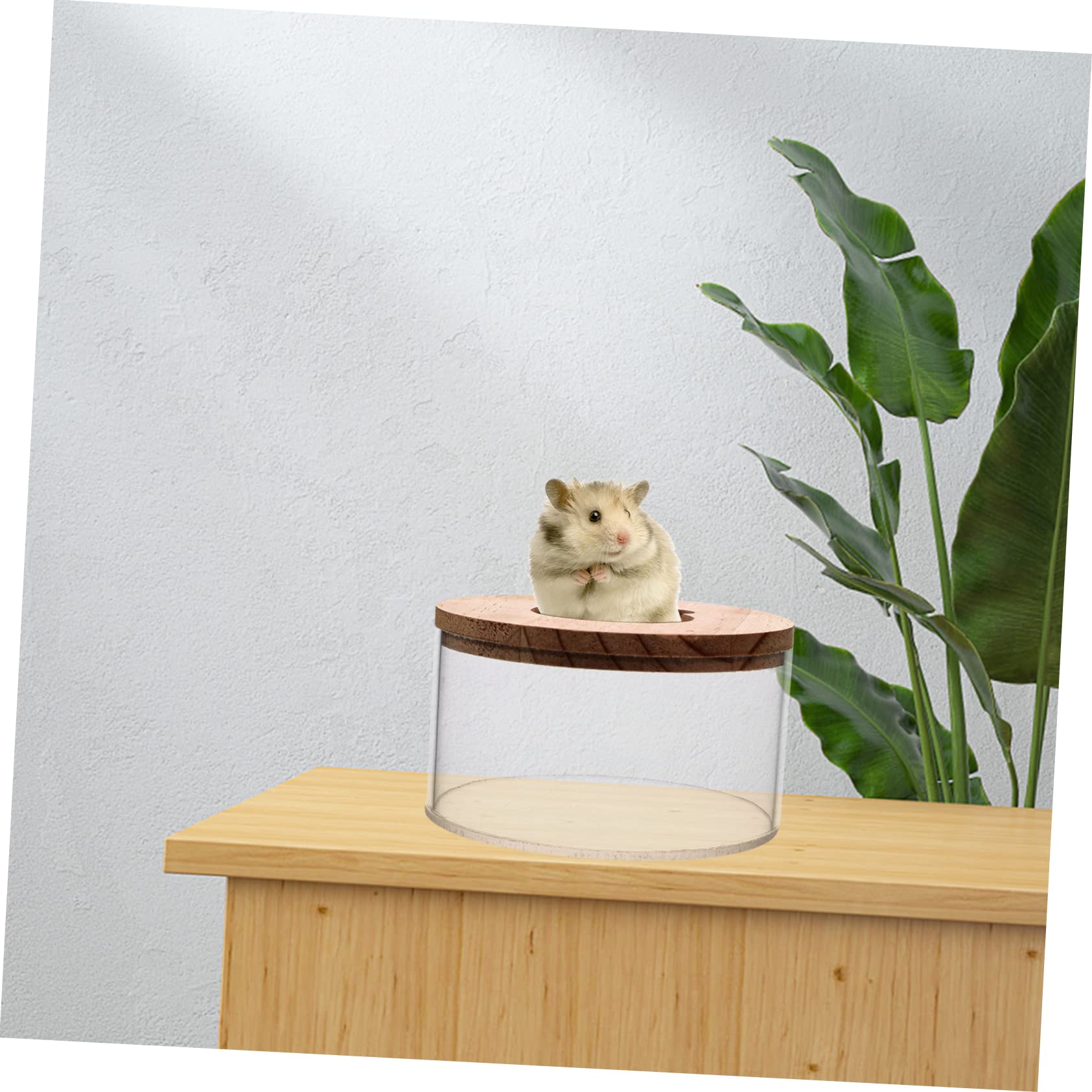 COLLBATH 2stücke Klarer Hamster Sandbad Behälter Mit Holzdeckel Transparente Für Chinchillas Und Kleine Haustiere Für Spiel Und Pflege Im Käfig