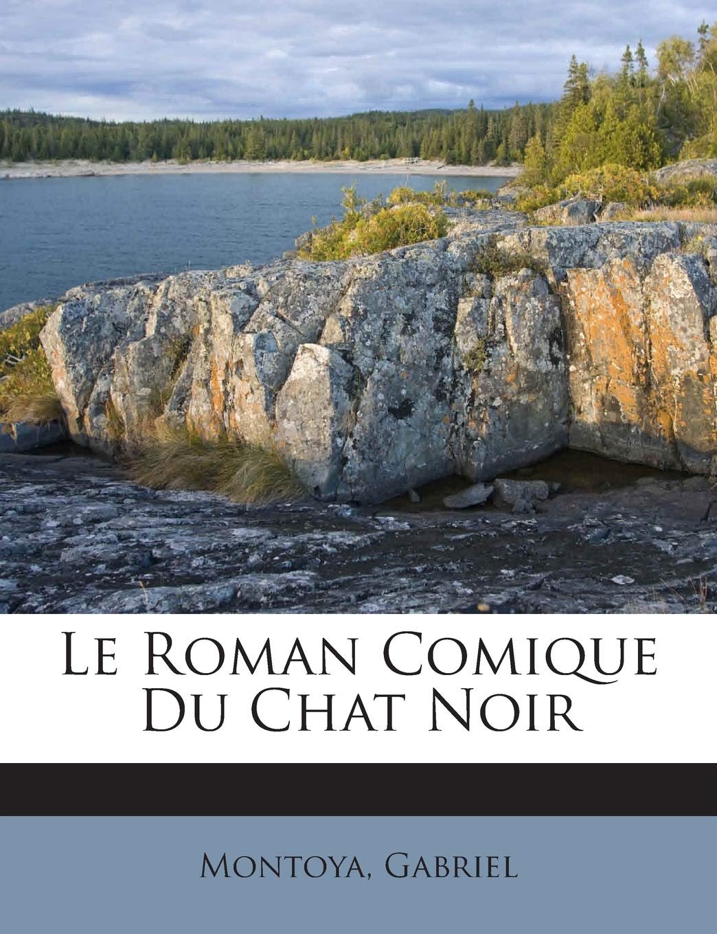 Le Roman Comique Du Chat Noir