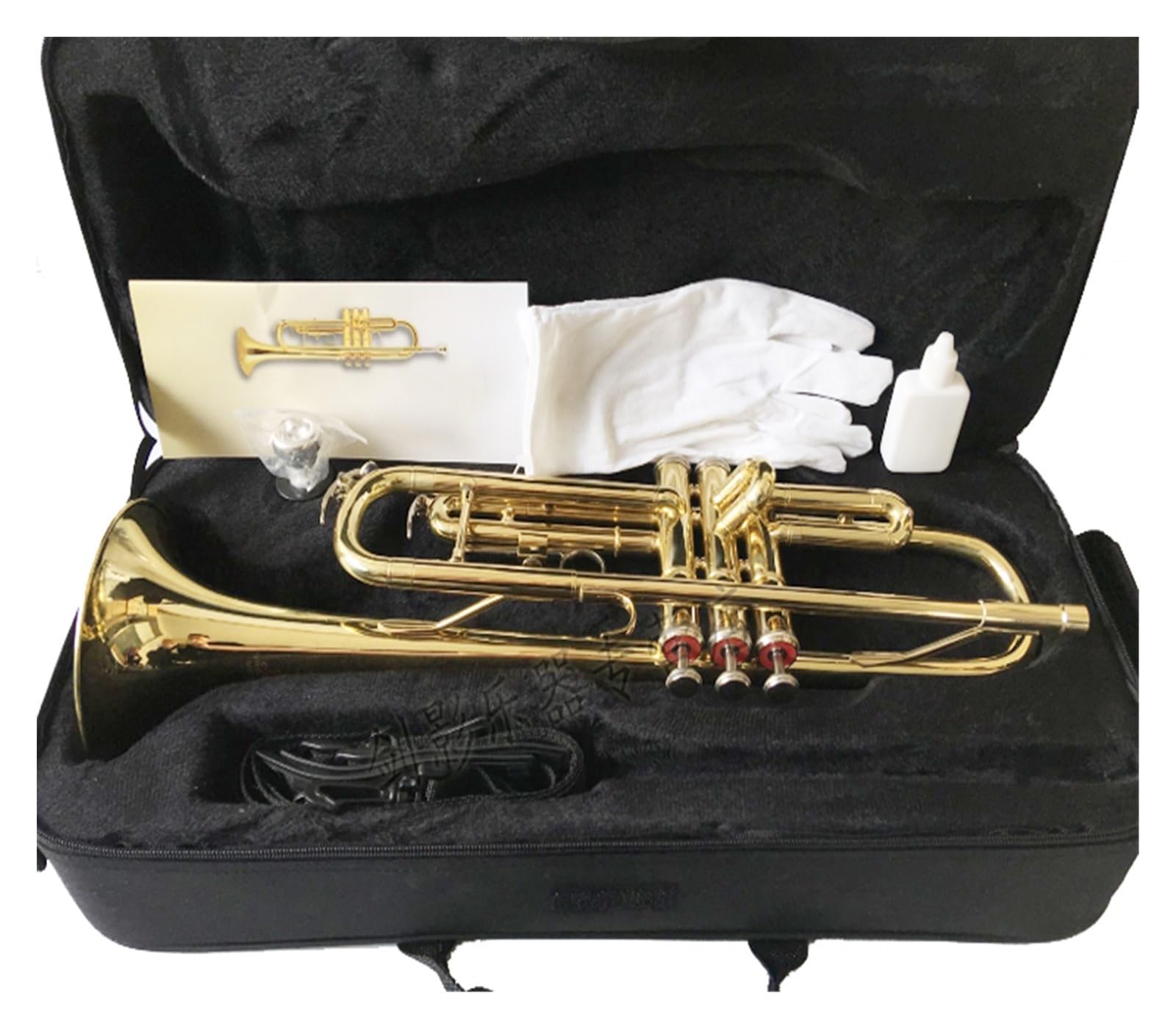 Tromba Strumento a fiato tromba intermedia tromba squisita in si bemolle