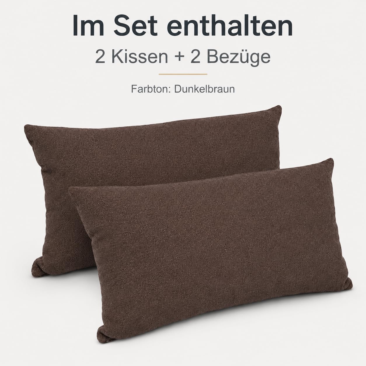 Juego de 2 Cojines de Sofá 50x30 cm, Almohadas Decorativas 2 Piezas, 2 Fundas + 2 Cojines de Relleno - Cojin (marrón Oscuro) | Con relleno y fundas, fundas extraíbles y lavables, cojines de sofá suaves