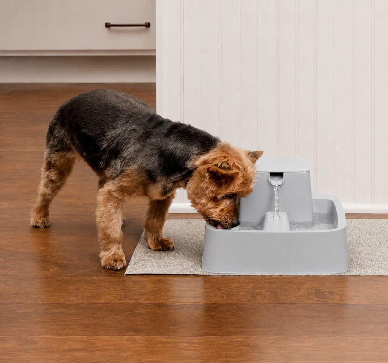 Abbeveratoio automatico per cani e gatti, 7,5 l, dispenser d'acqua di grande capacità, serbatoio anti-trabocco, facile da pulire, ideale per animali domestici di tutte le dimensioni