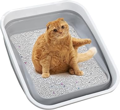 Large Cat Litter Box for Kittens to Senior Cat, Elderly and Fat Cat,Elderly cat Mobility Issues,Foldable Travel Litter Box with Scoop Grey
