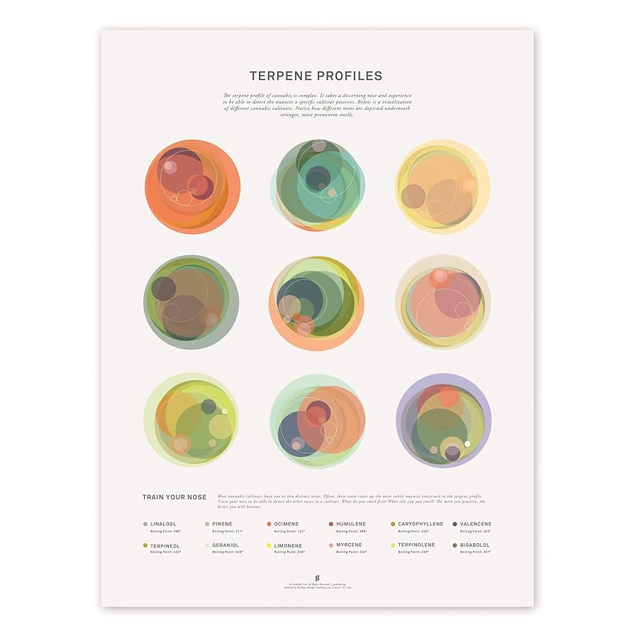 Terpene Profile⁢ and Flavor Notes That Shape the⁢ Top-Shelf Limited Calm Experience