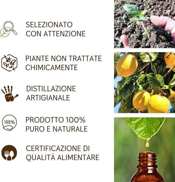 Olio Essenziale Limone alimentare puro Italiano Il Labirinto Officinale - Oli Essenziali Naturali - Olio essenziale per Diffusori e Umidificatori, Aromaterapia - 10ml - 3