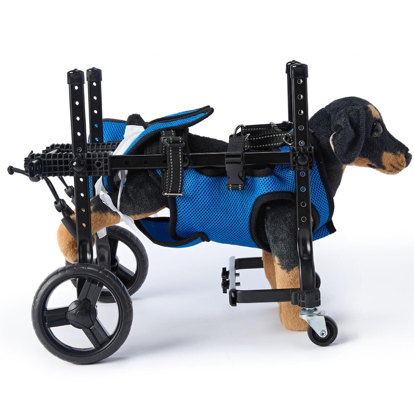Chien handicapé : la solution de marche à roues réglables