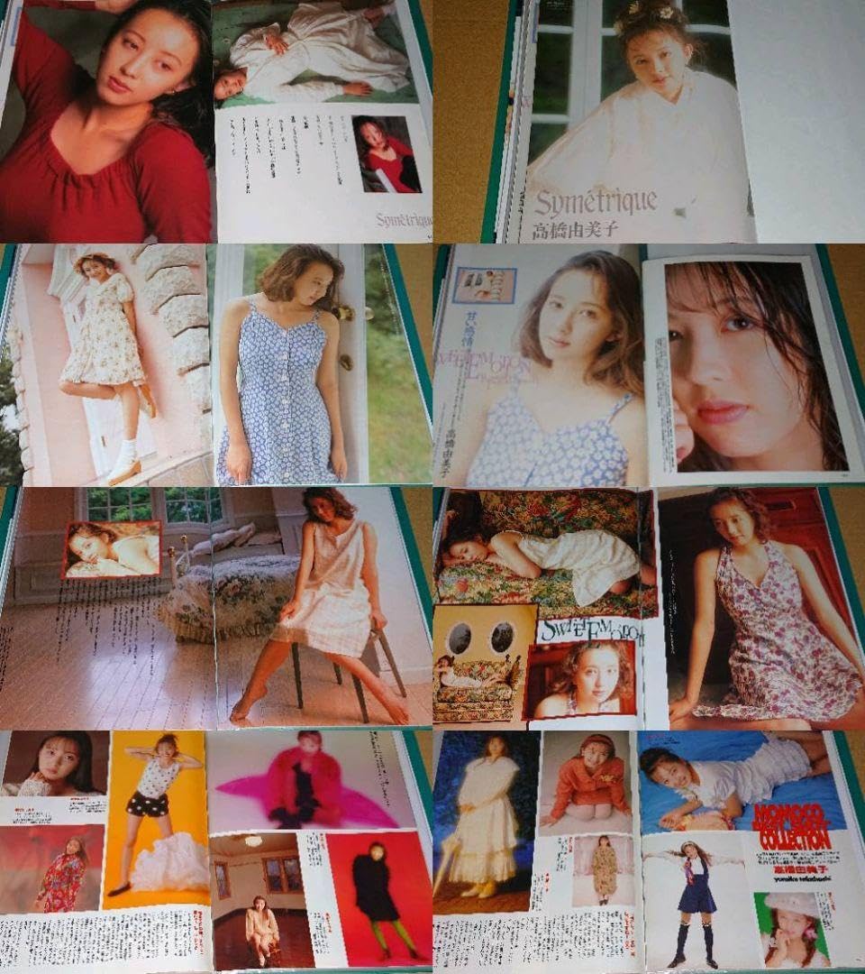 Amazon.co.jp: 高橋由美子 1993年～1995年 大量 切り抜き ファイル 1冊