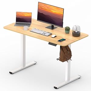 Adjustable Stand Up Desk with Memory Preset Electric Standing Desk 47 x 24 Inch Home Office Desk Computer
