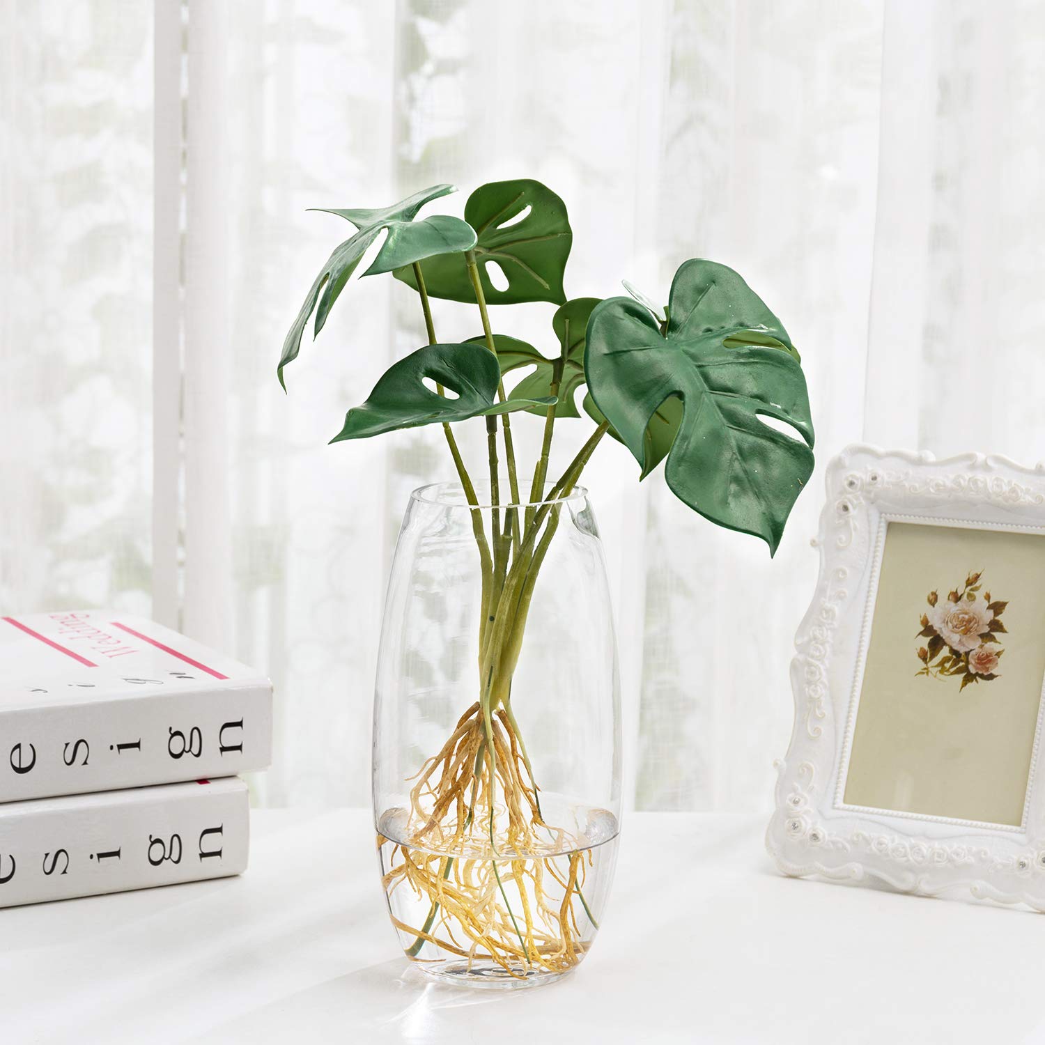 philodendron white wave pflege White Wave main image 0