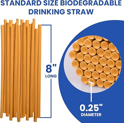 Miniatura 2 de Vallo Pajitas compostables para beber  100% biodegradables, no se empañan, adecuadas para bebidas frías y calientes, material ecológico de caña de