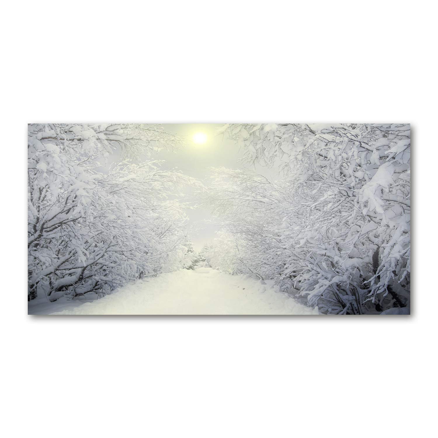 Image tableau photo décorative une belle forêt d'hiver panoramique en verre robuste