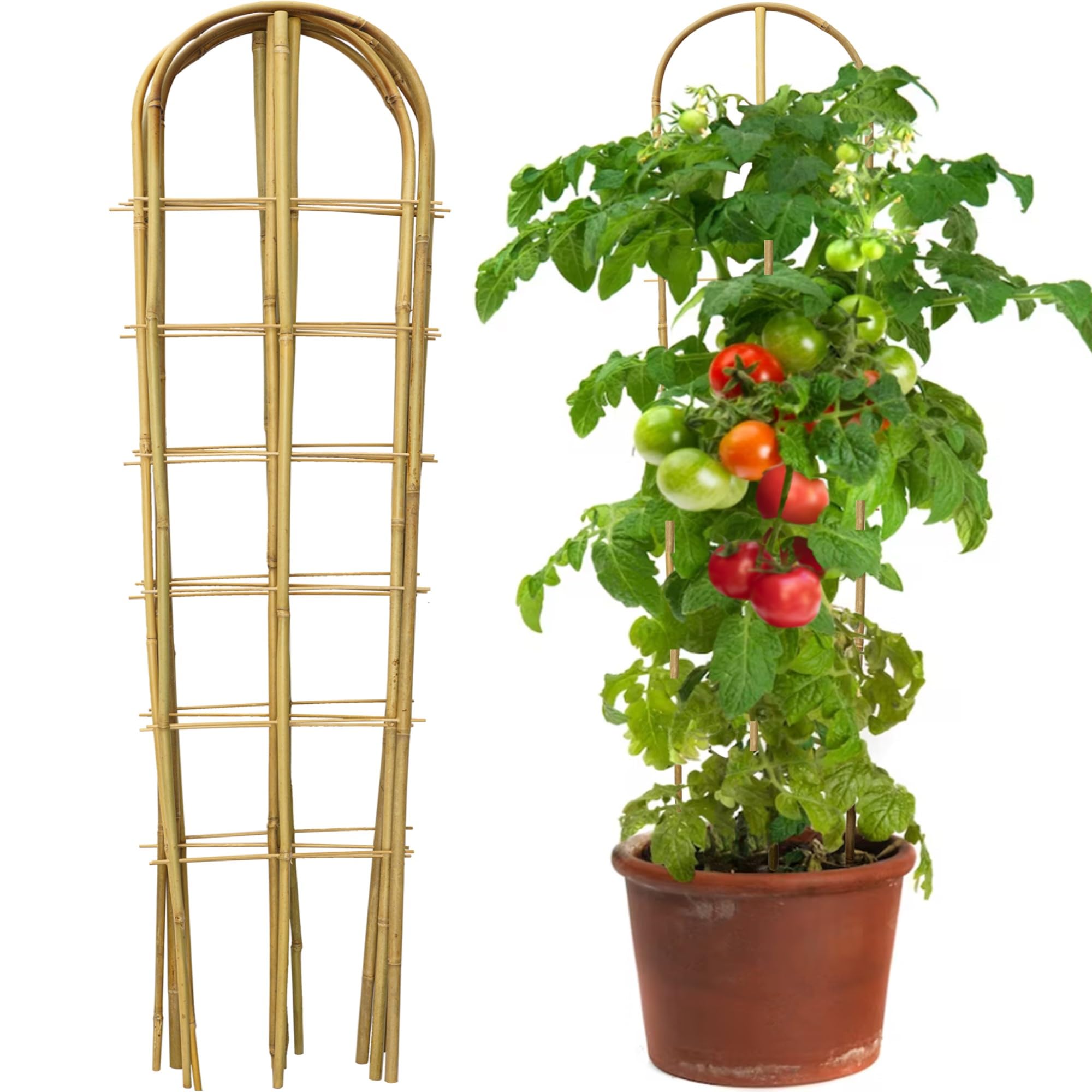 Taoskai 3 Pack U-Shape Trellis