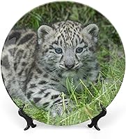 Vista 17 de Plato decorativo para exhibición, placa de rana, placa redonda de cerámica, platos conmemorativos con soporte, adorno de porcelana para decoración